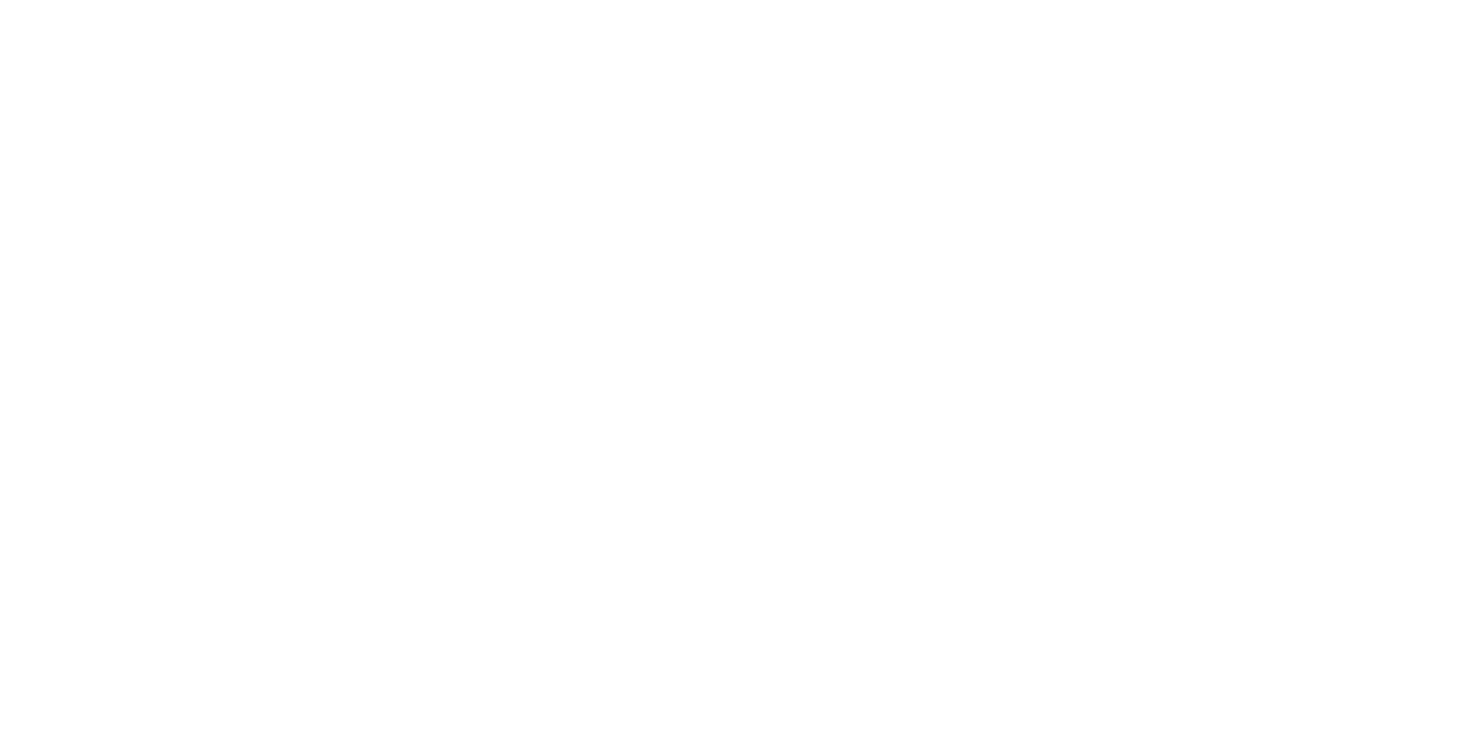 Fusion Hotel Group, WEB